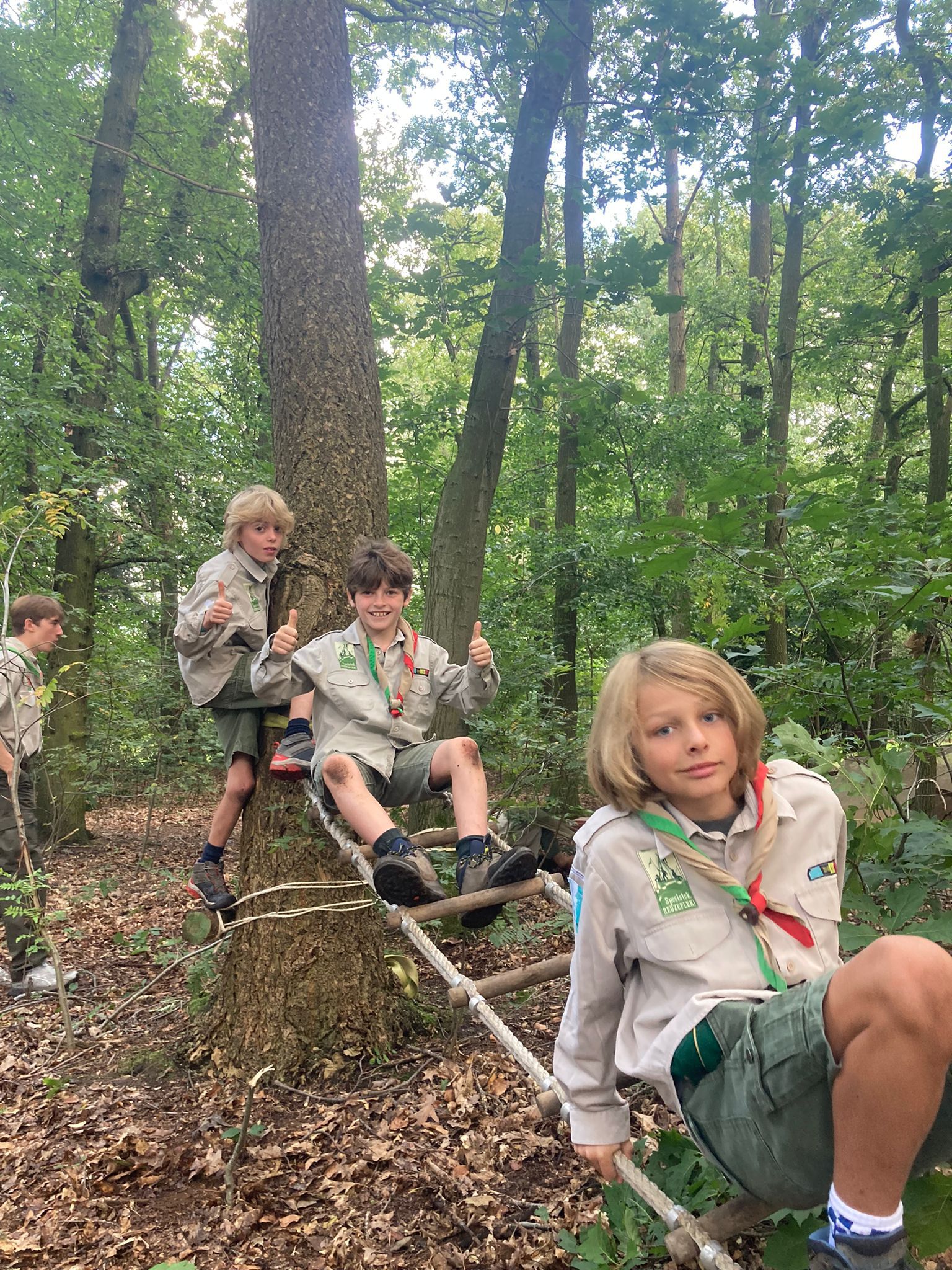 Sint-Martinus den XIIde - Opening 2024